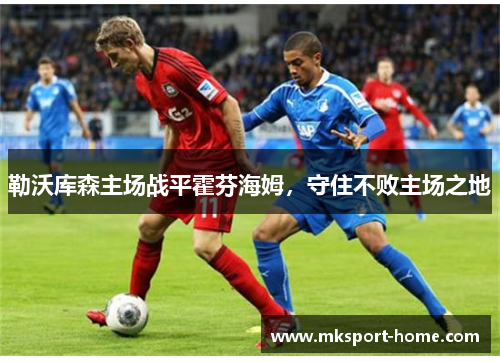 勒沃库森主场战平霍芬海姆，守住不败主场之地