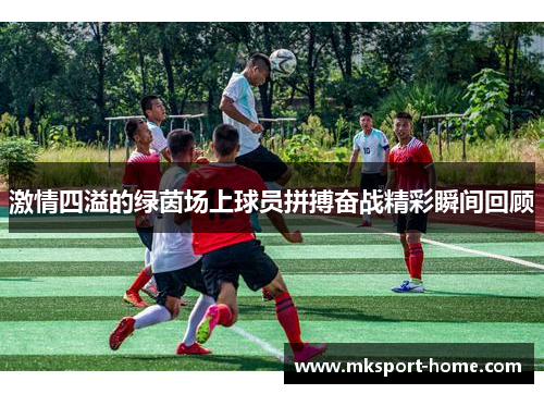 激情四溢的绿茵场上球员拼搏奋战精彩瞬间回顾
